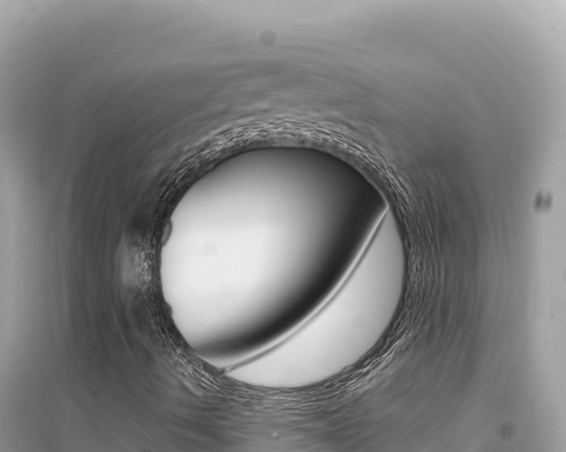 X0000095131490200712070955