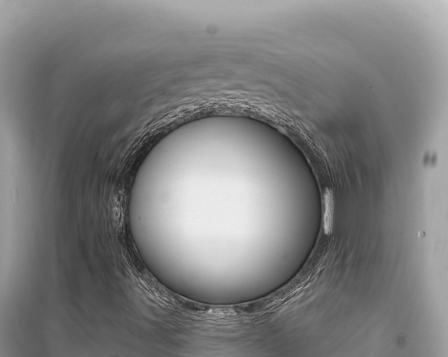 X0000095131491200712070955