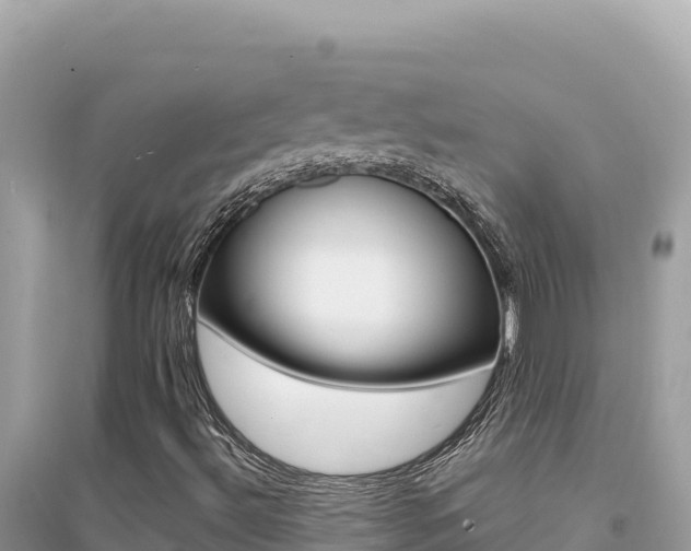 X0000095131492200712070955