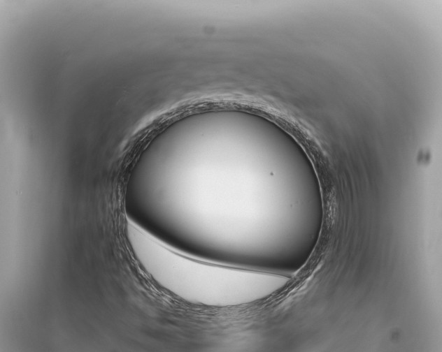 X0000095131494200712070955