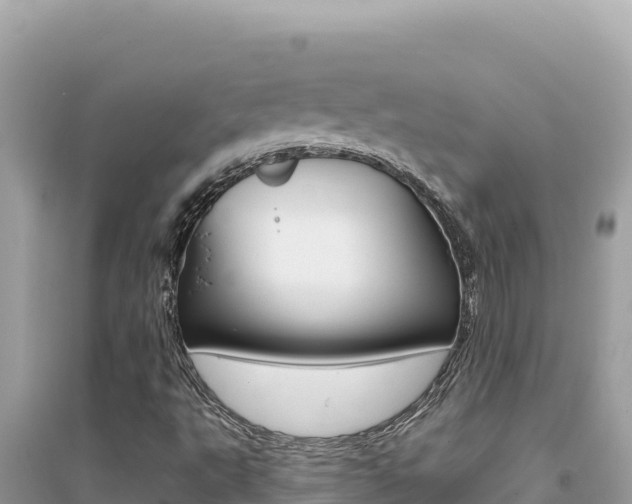 X0000095131495200712070955