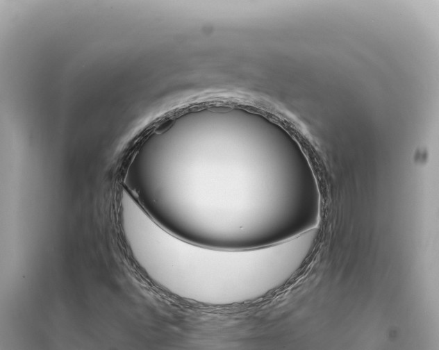 X0000095131496200712070955