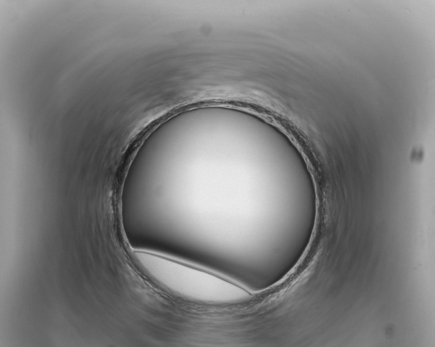 X0000095131497200712070955