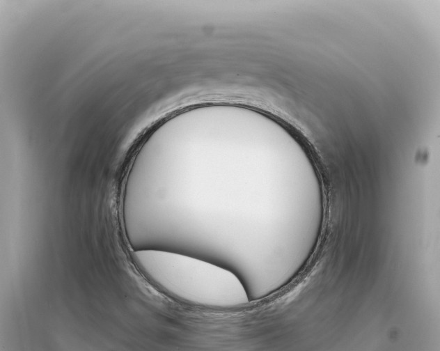 X0000095131498200712070955