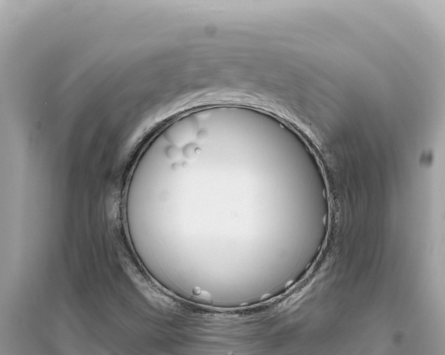 X0000095131499200712070955