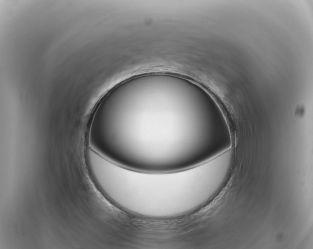 X0000095131500200712070955