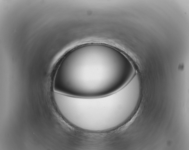 X0000095131502200712070955