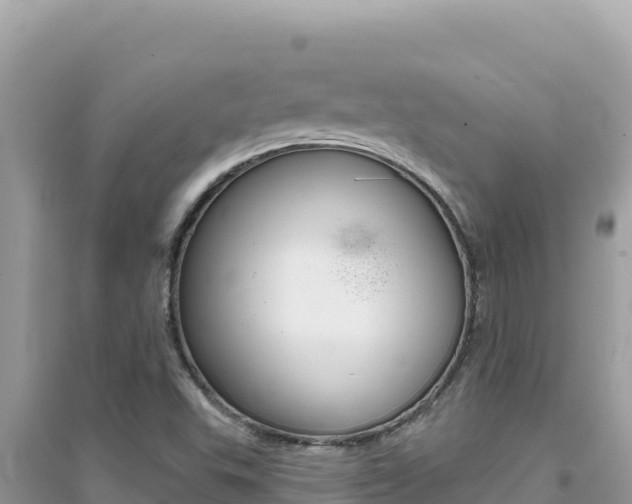 X0000095131503200712070955