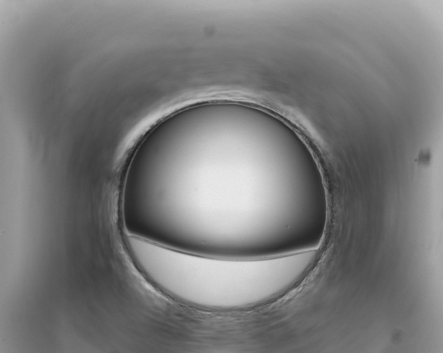 X0000095131504200712070955