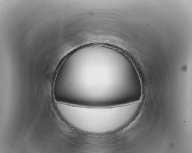 X0000095131505200712070955