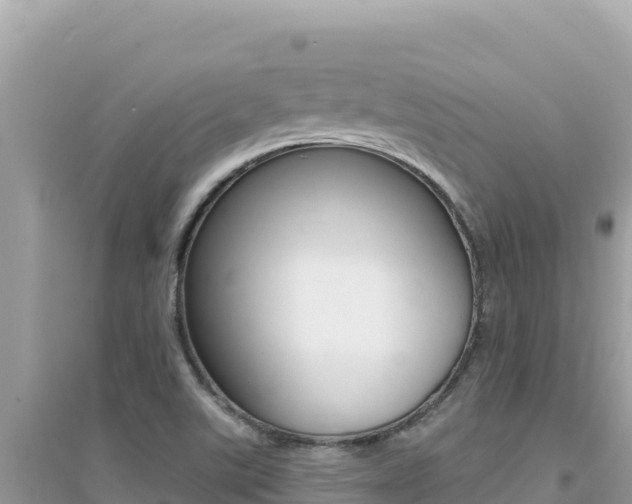 X0000095131507200712070955
