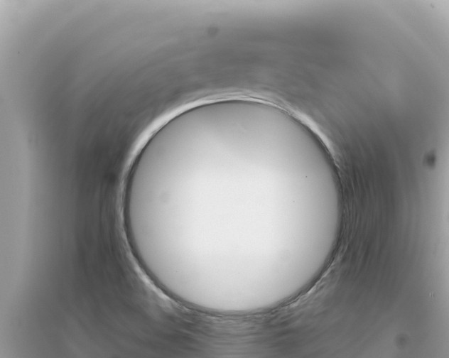 X0000095131508200712070955