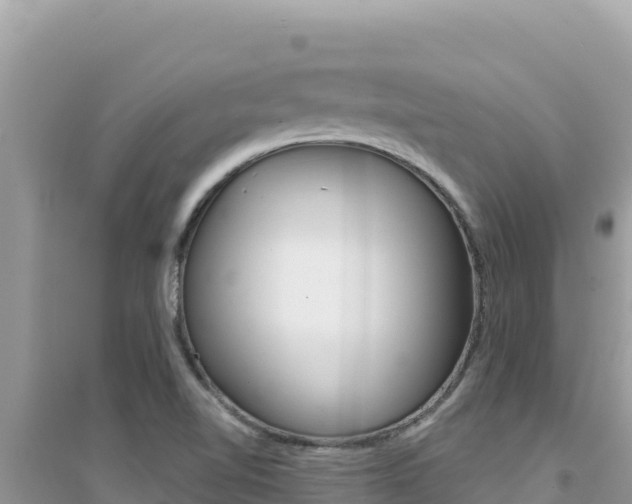 X0000095131510200712070955
