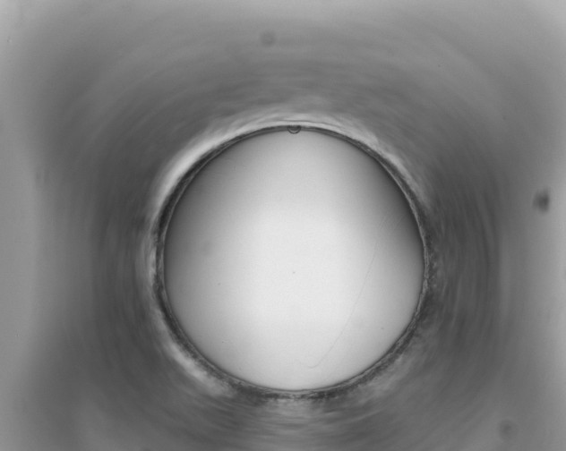 X0000095131511200712070955