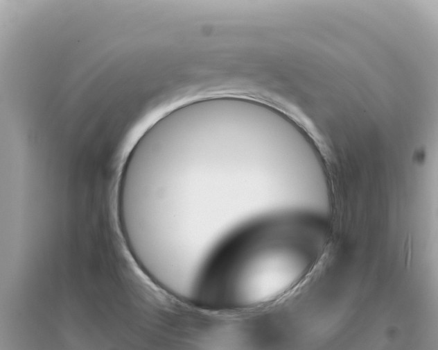 X0000095131512200712070955