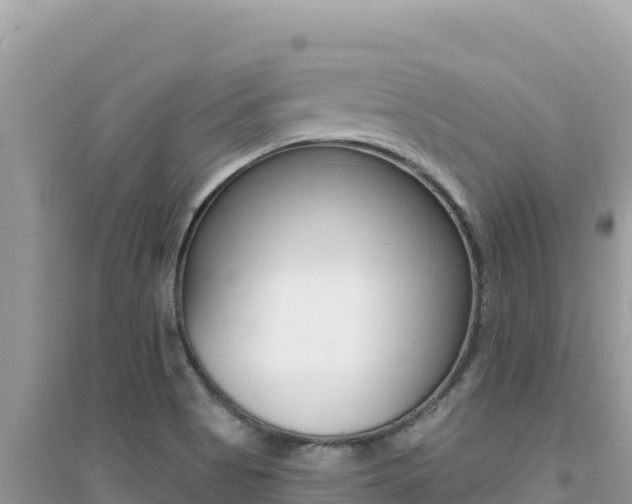 X0000095131513200712070955