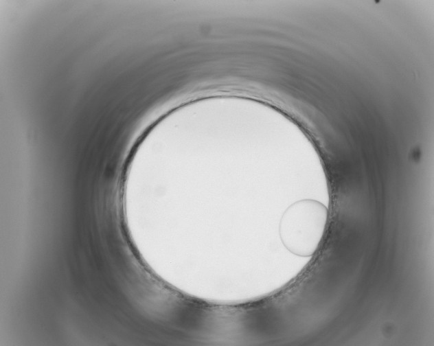 X0000095131514200712070955