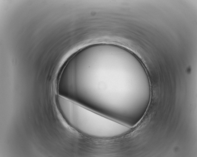 X0000095131515200712070955