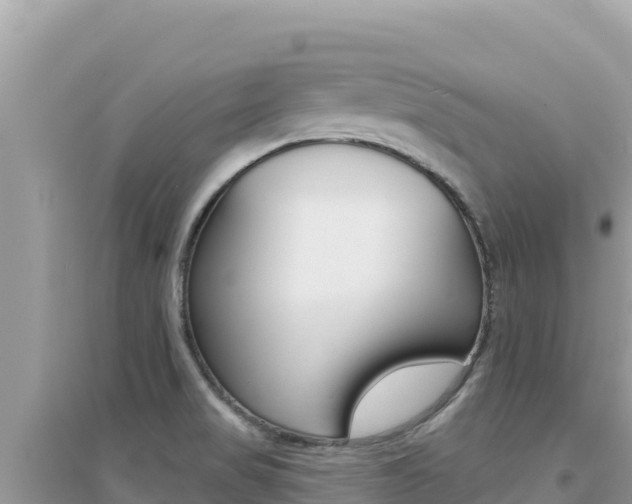 X0000095131517200712070955