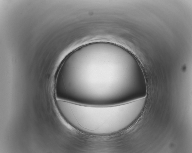 X0000095131519200712070955