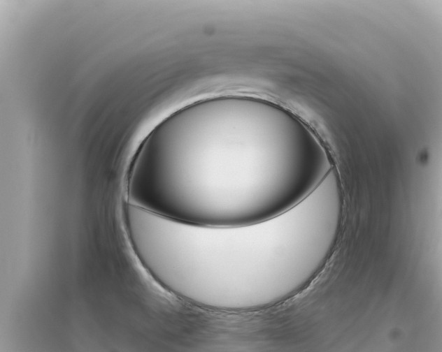 X0000095131520200712070955