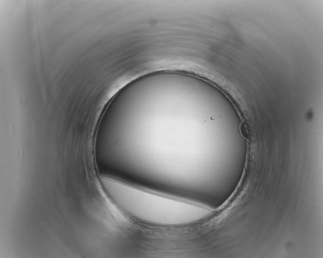 X0000095131521200712070955