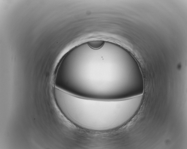 X0000095131522200712070955
