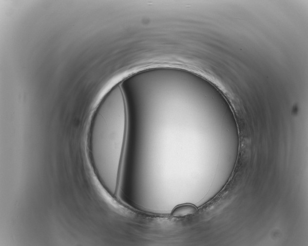 X0000095131523200712070955