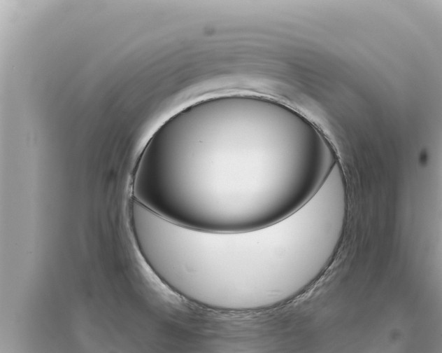 X0000095131524200712070955