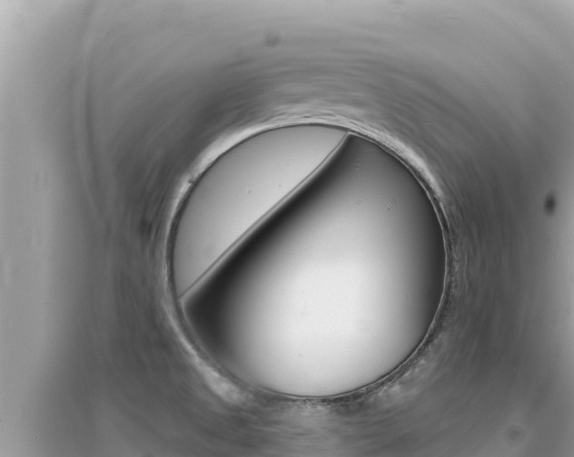 X0000095131525200712070955