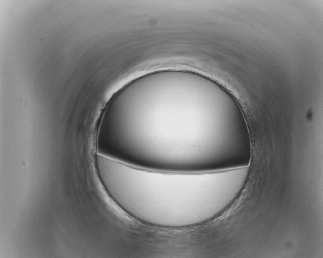 X0000095131526200712070955