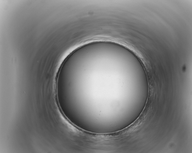 X0000095131527200712070955
