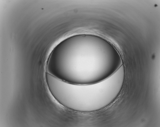 X0000095131528200712070955