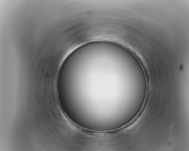 X0000095131529200712070955