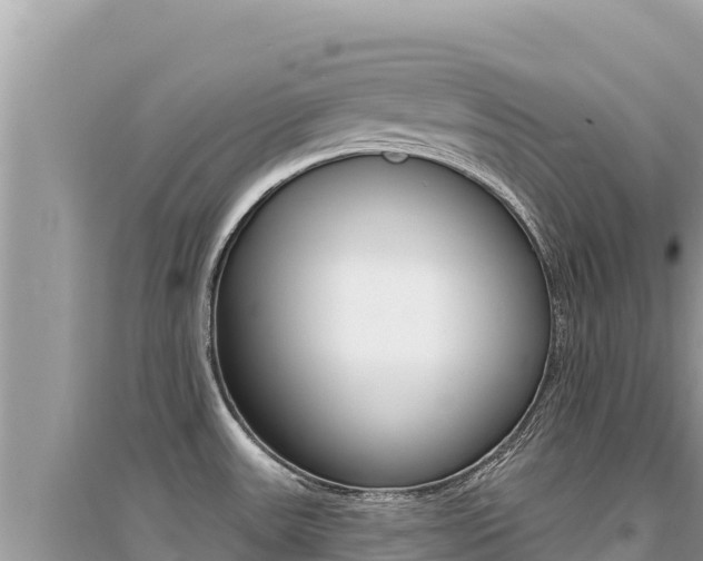 X0000095131531200712070955