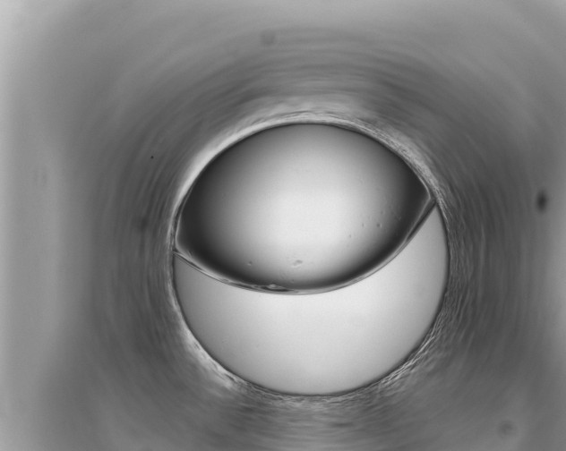 X0000095131532200712070955