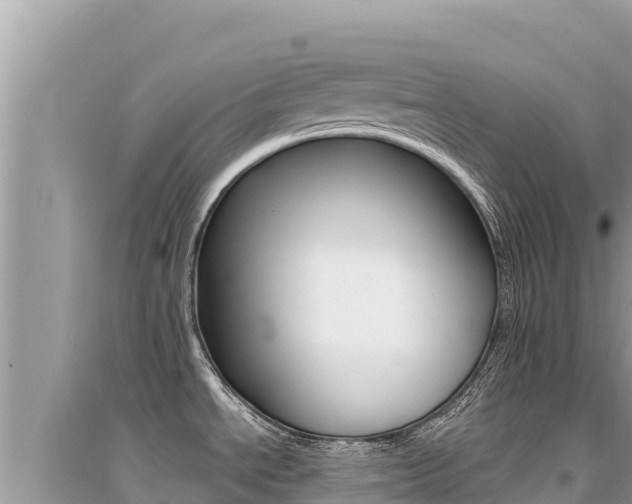 X0000095131534200712070955