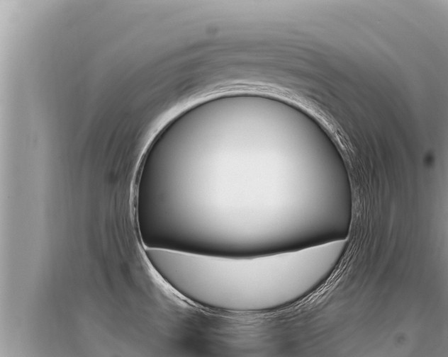 X0000095131535200712070955