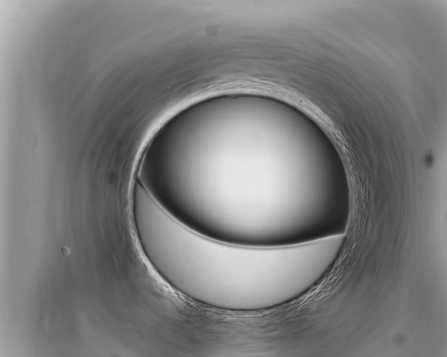 X0000095131536200712070955