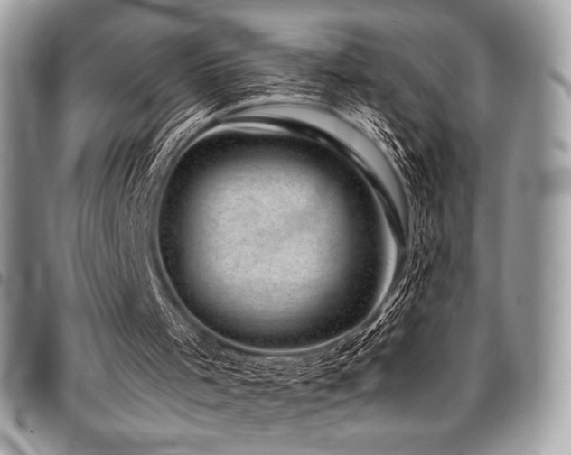 X0000095130001200712071318