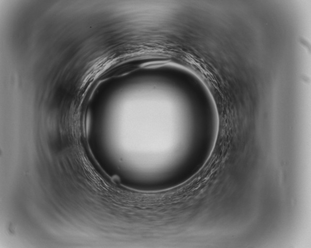 X0000095130002200712071318