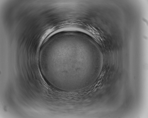 X0000095130003200712071318