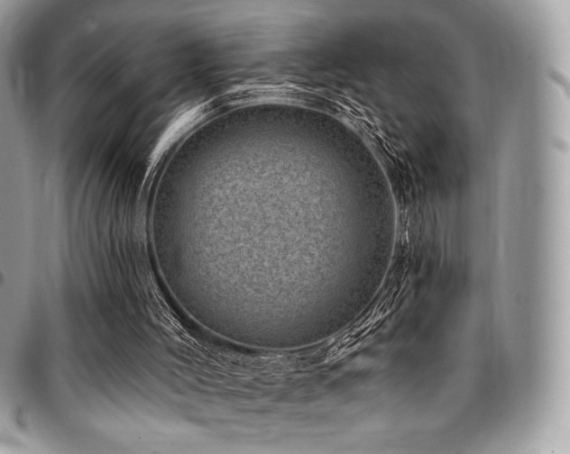 X0000095130004200712071318