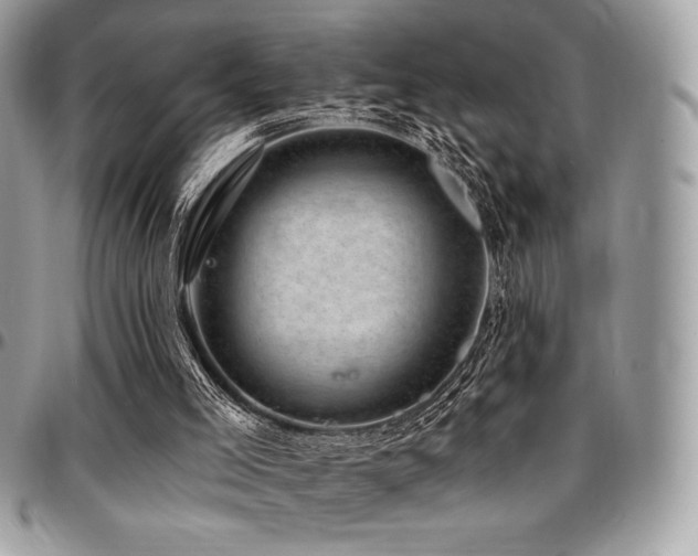 X0000095130005200712071318