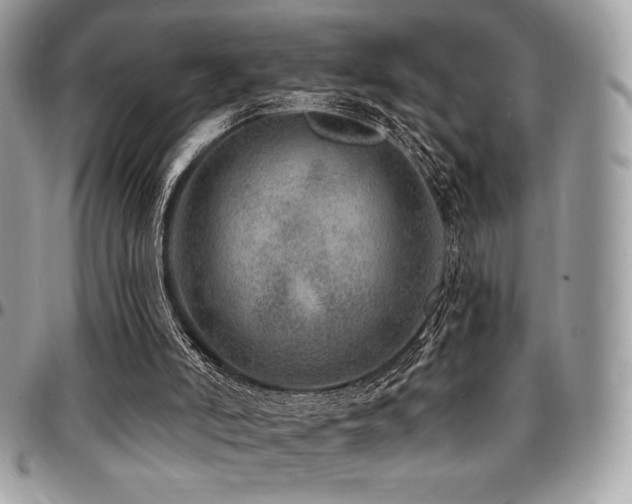 X0000095130006200712071318