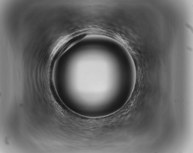 X0000095130007200712071318