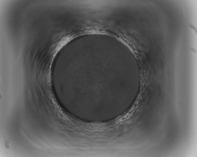 X0000095130008200712071318