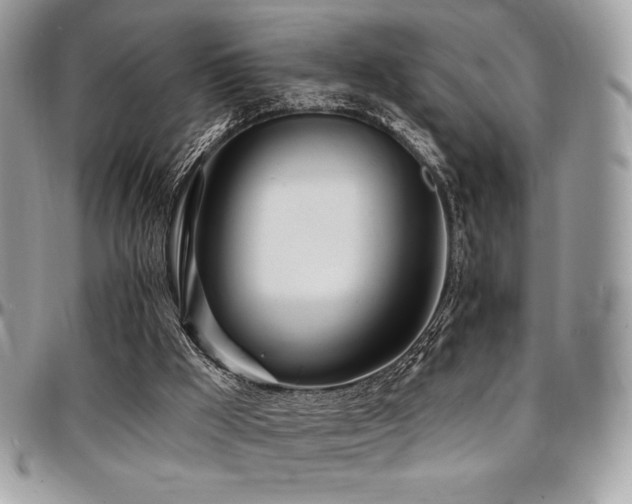 X0000095130009200712071318