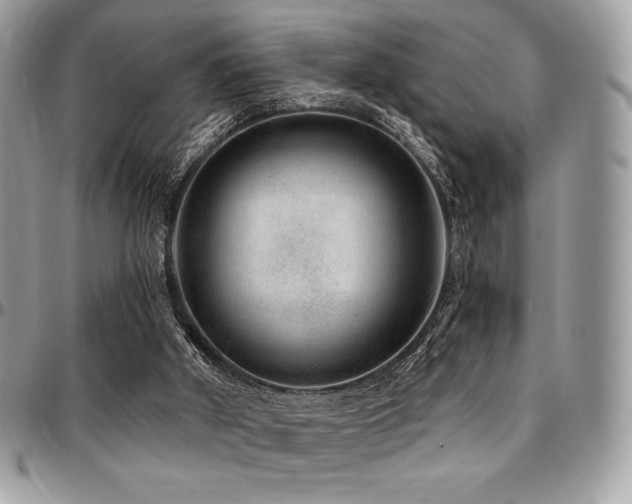 X0000095130010200712071318