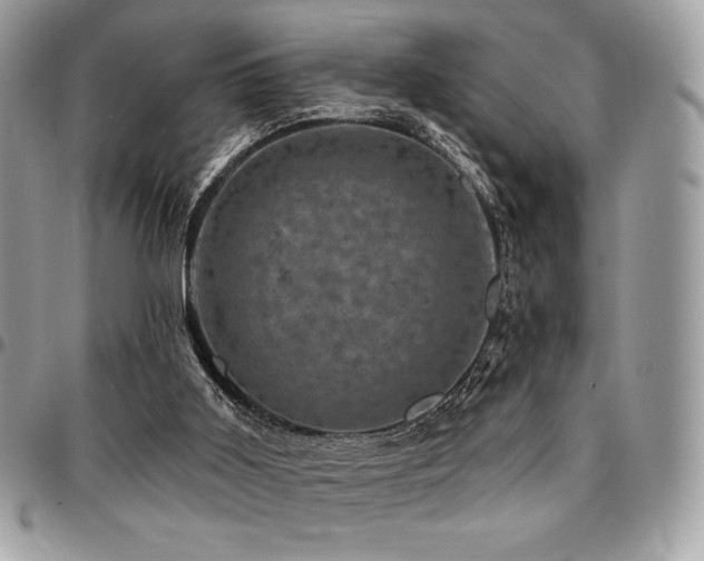 X0000095130011200712071318